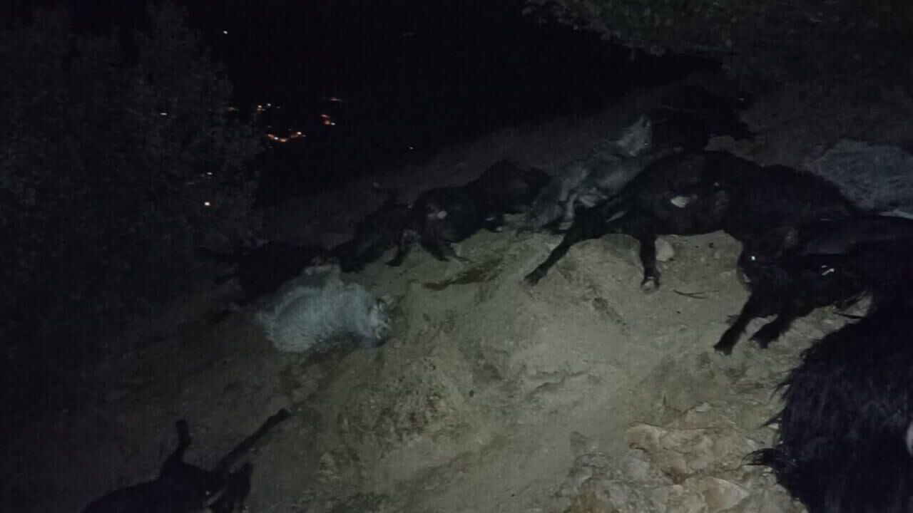 Kahramanmaraş’ta yıldırım düştü: 20 keçi telef oldu
