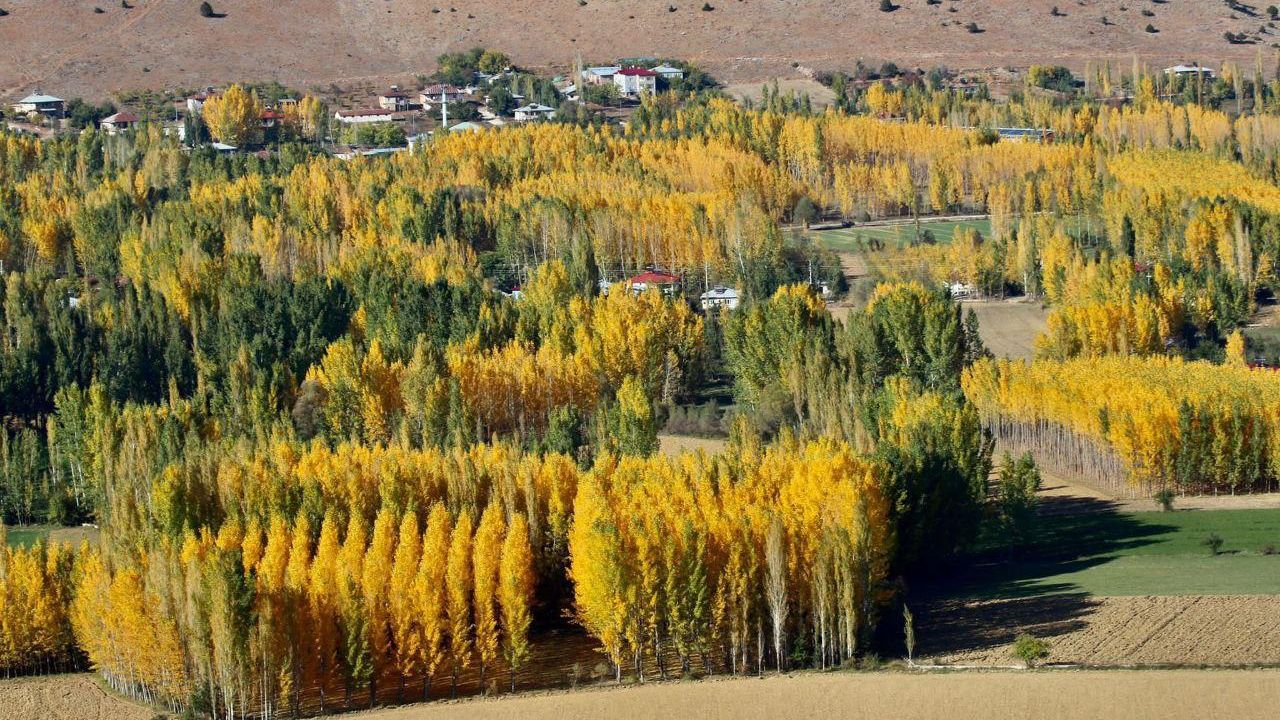 Sonbaharın En Güzel Hali Kahramanmaraş’ta